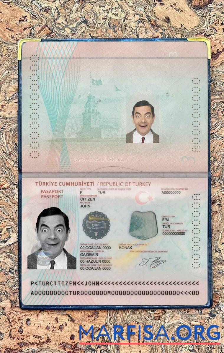 Downloadable Turkey new Passport photo look real example